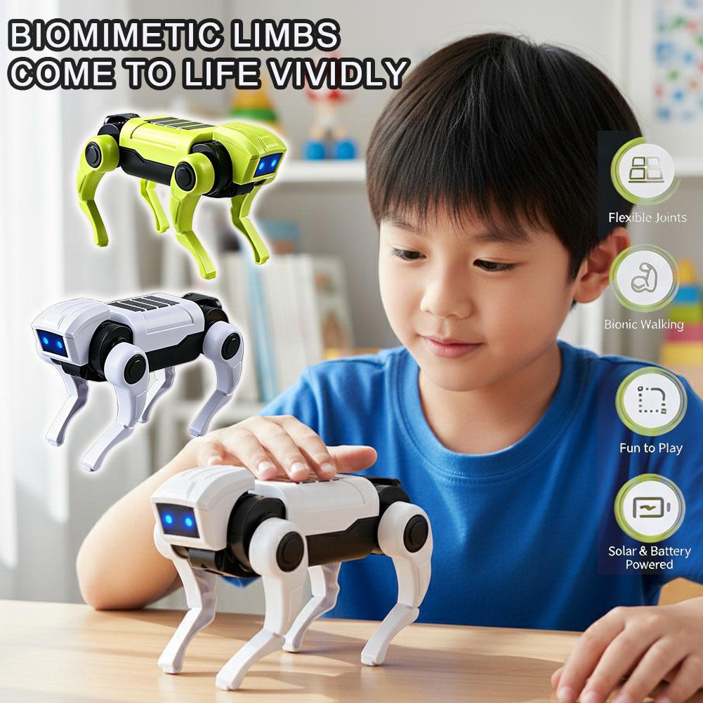 Science Robotics - Kit Robot Cane Telecomandato Fai-da-Te, Modello