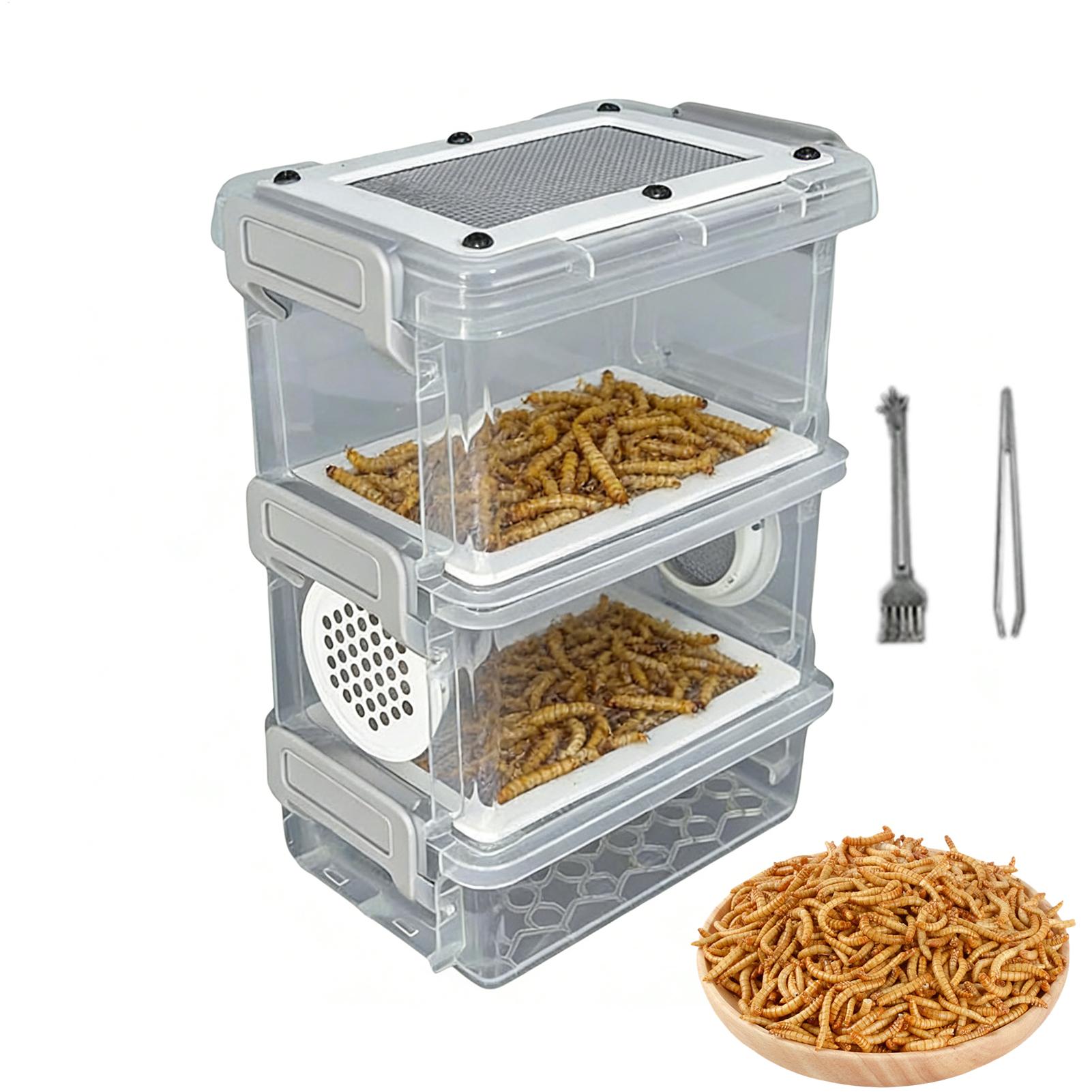 Science Hobbyist - Kit per l'allevamento di lombrichi a