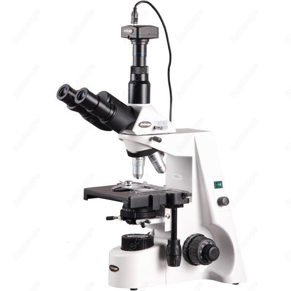 Microscope Compound 40X - Microscopio Biologico Composto AmScope 40X-2500X Infinity