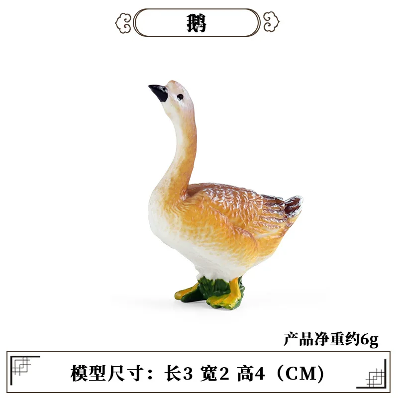 Science Toys - Strumento didattico educativo Pollame Animale Mini