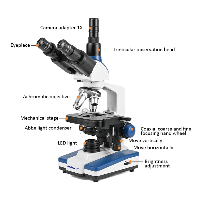 Microscopio Biologico Professi - Microscope Compound 40X recensione e prezzo