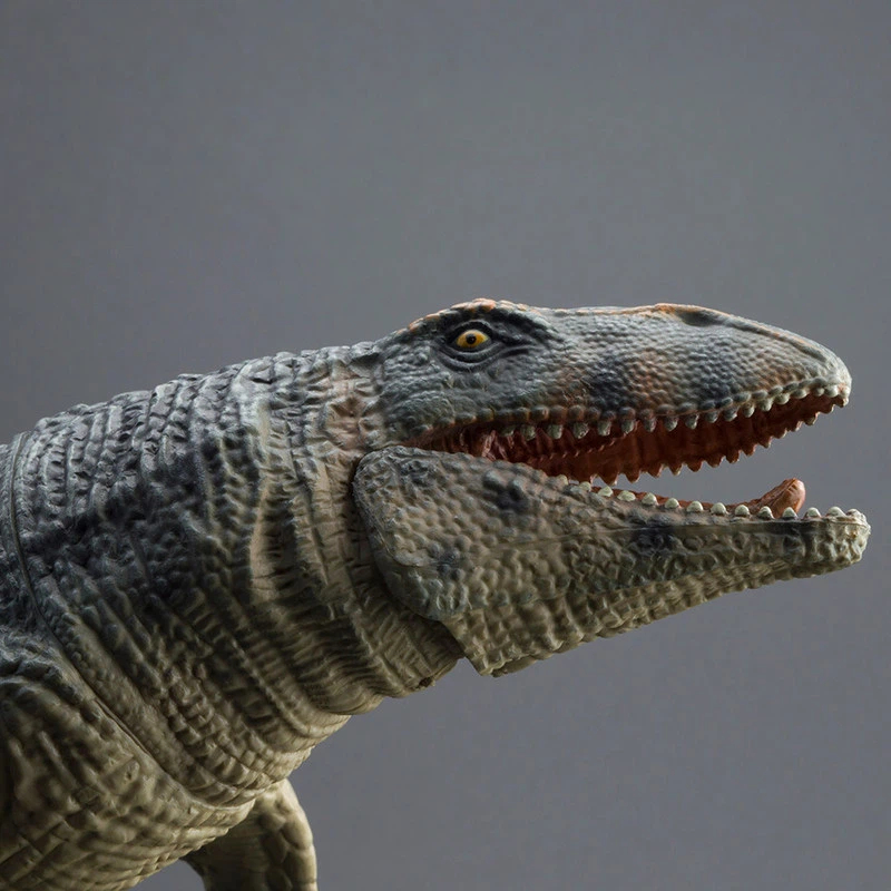 PROG Grande Figurina Giocattol - Science Toys recensione e prezzo