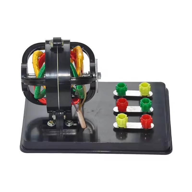 Motore a induzione trifase mod - Science Nature recensione e prezzo