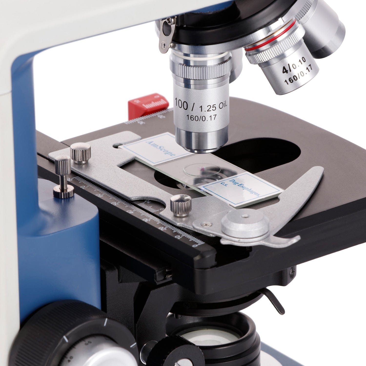 Microscopio Composto Binocular - Microscope Compound 40X recensione e prezzo