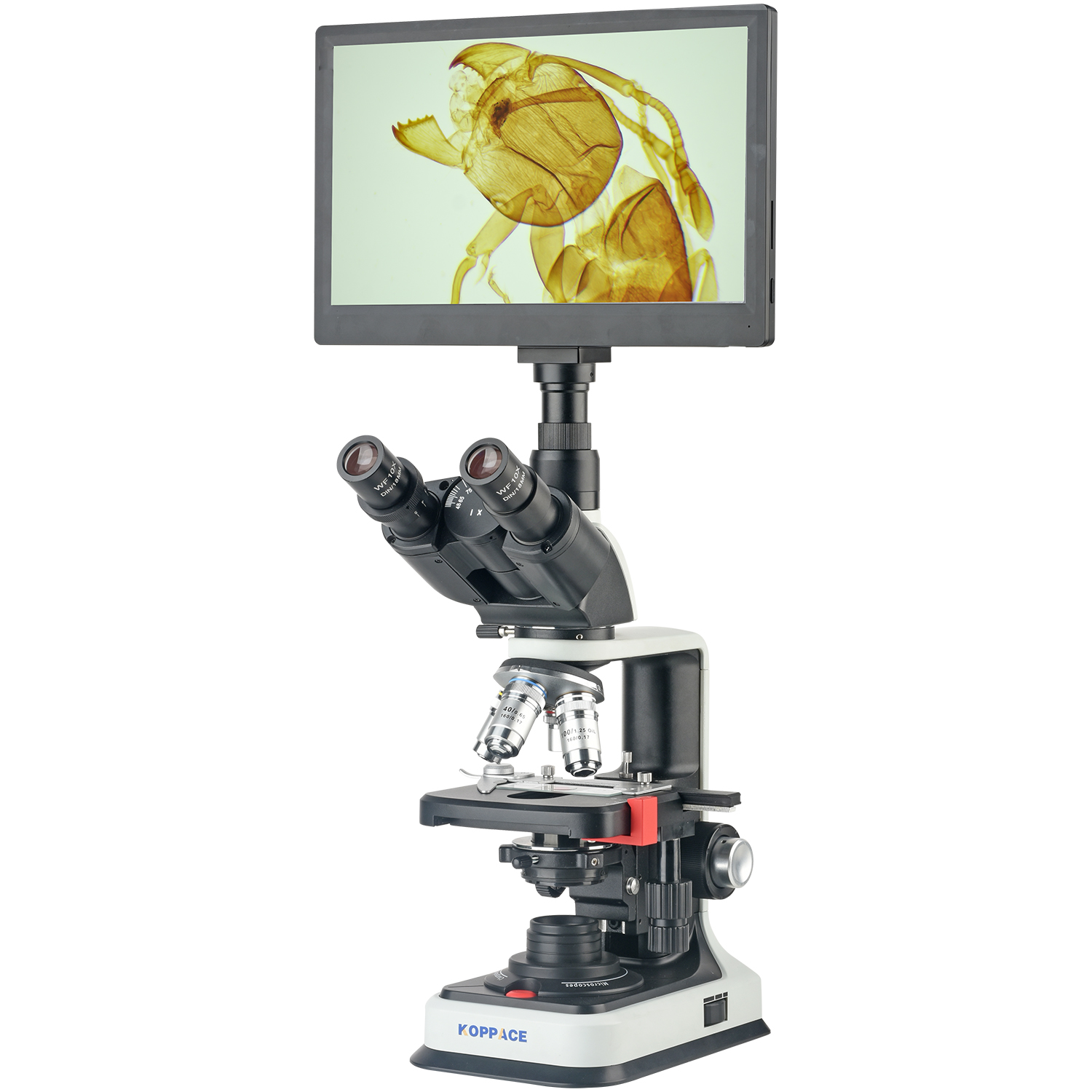 Microscopio Elettronico Compos - Microscope Compound 40X recensione e prezzo