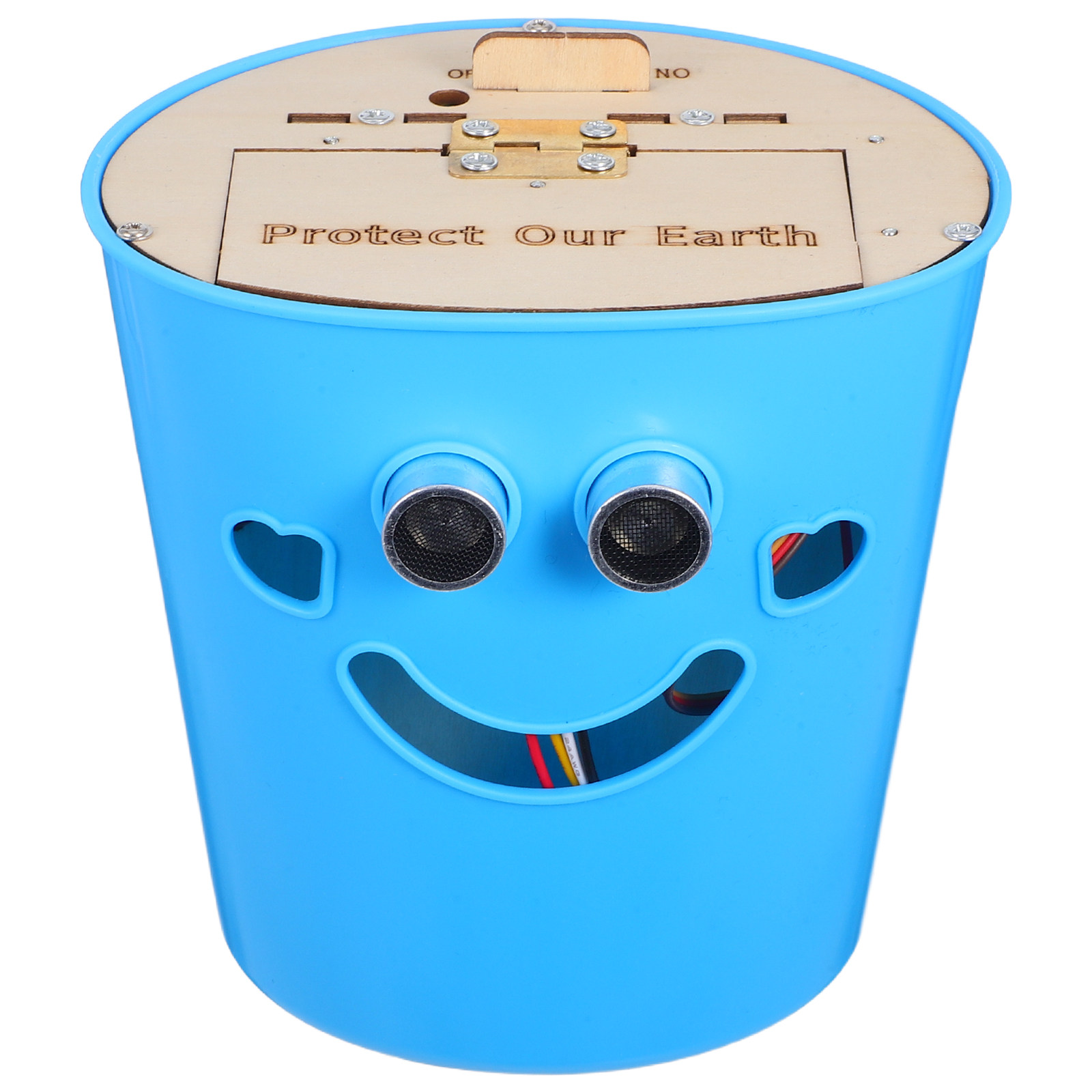1 Set Kit Fai-da-Te per Cestin - Science Project Diy recensione e prezzo