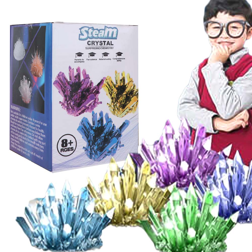 Kit Scientifico per la Crescit - Science Project Diy recensione e prezzo