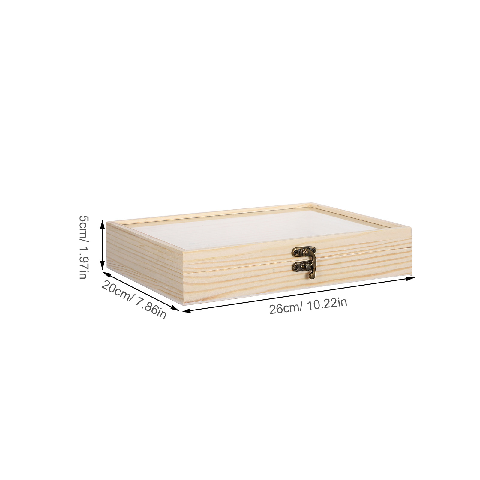 Scatola Espositiva in Legno Ma - Science Project recensione e prezzo