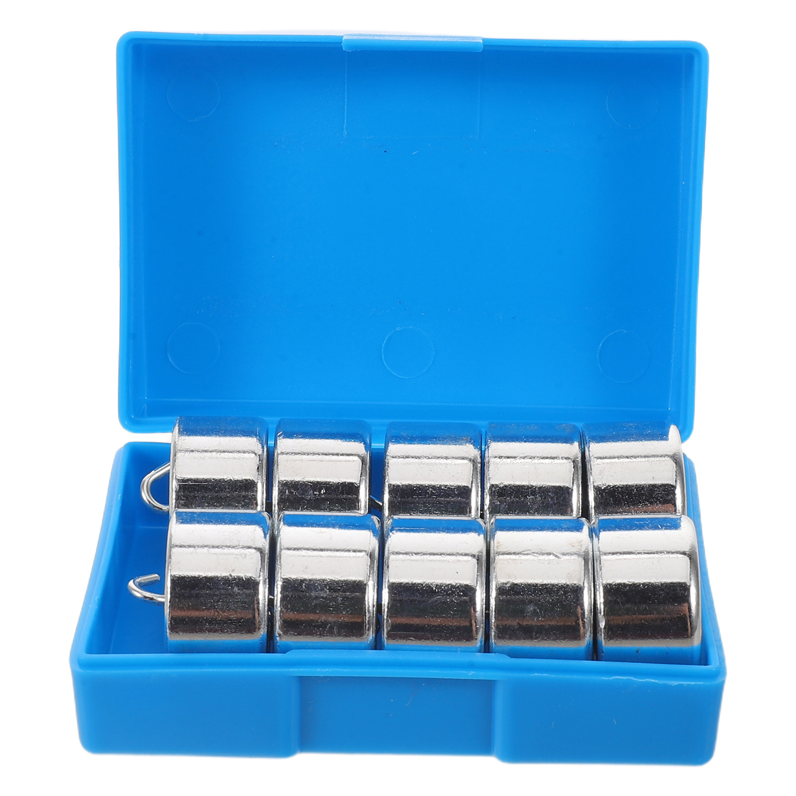 Set di 10 Pesi a Gancio con Sc - Science Nature recensione e prezzo