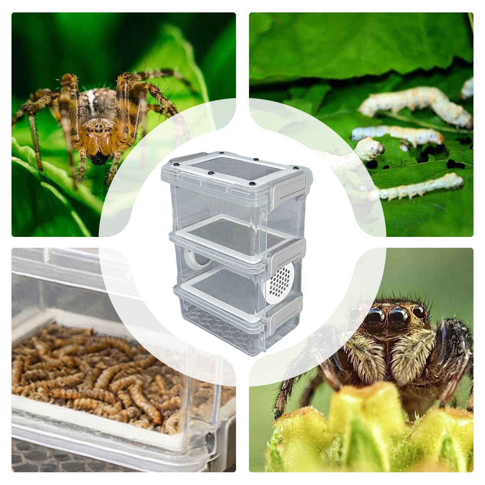 Kit per l'allevamento di lombr - Science Hobbyist recensione e prezzo