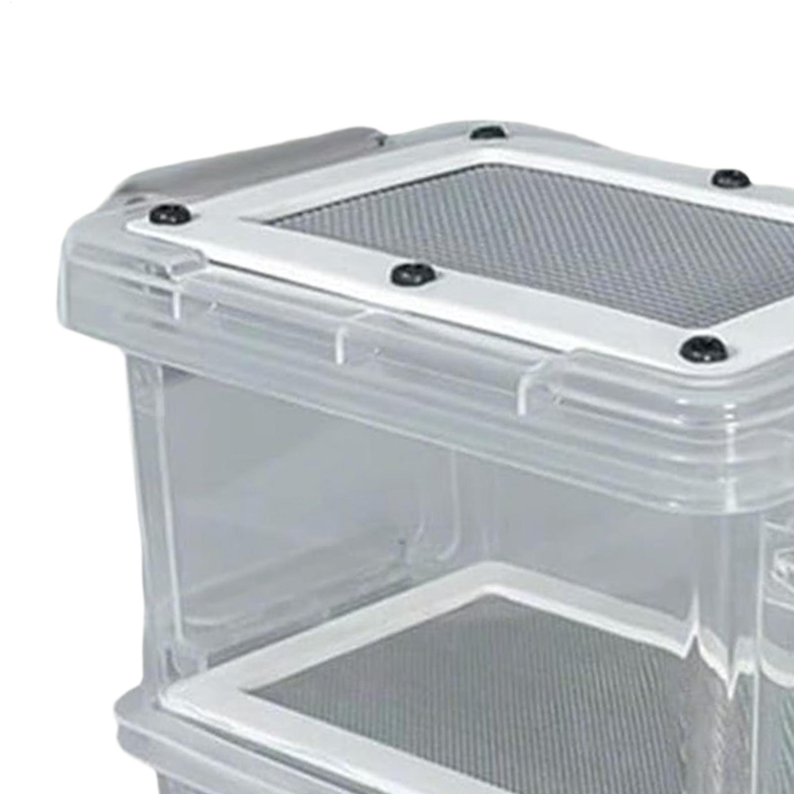 Kit per l'allevamento di lombr - Science Hobbyist recensione e prezzo