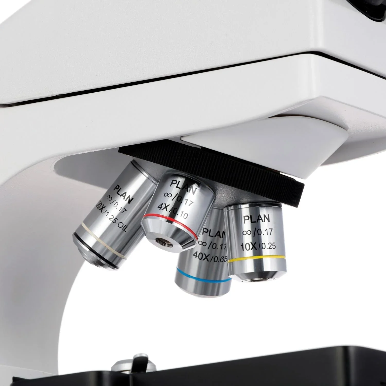 Microscopio Composto Trinocula - Microscope Compound 40X recensione e prezzo