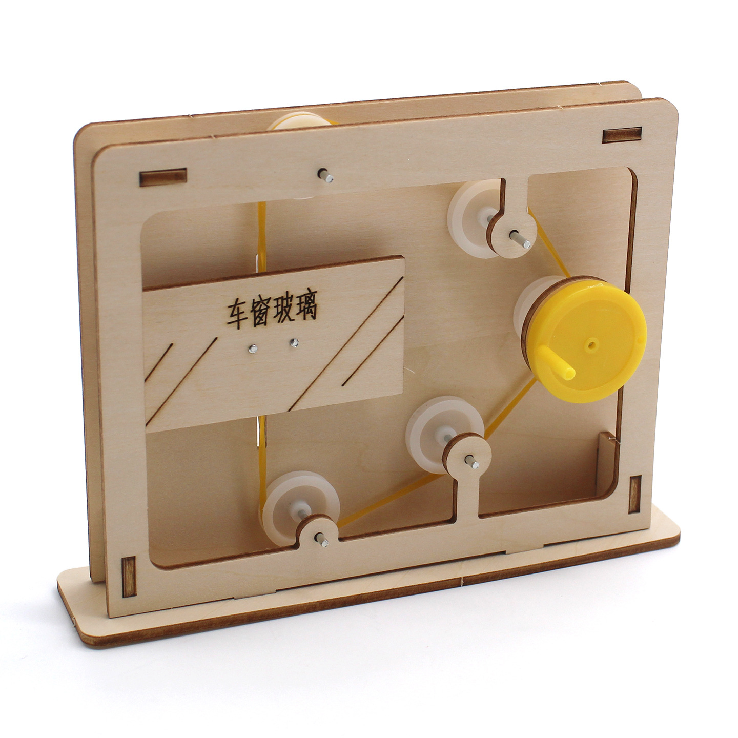 Modello educativo con fune e c - Science Toys recensione e prezzo