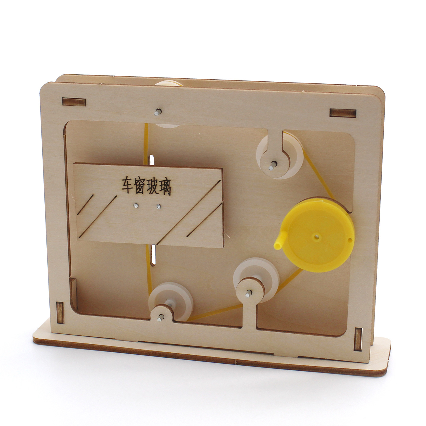 Modello educativo con fune e c - Science Toys recensione e prezzo