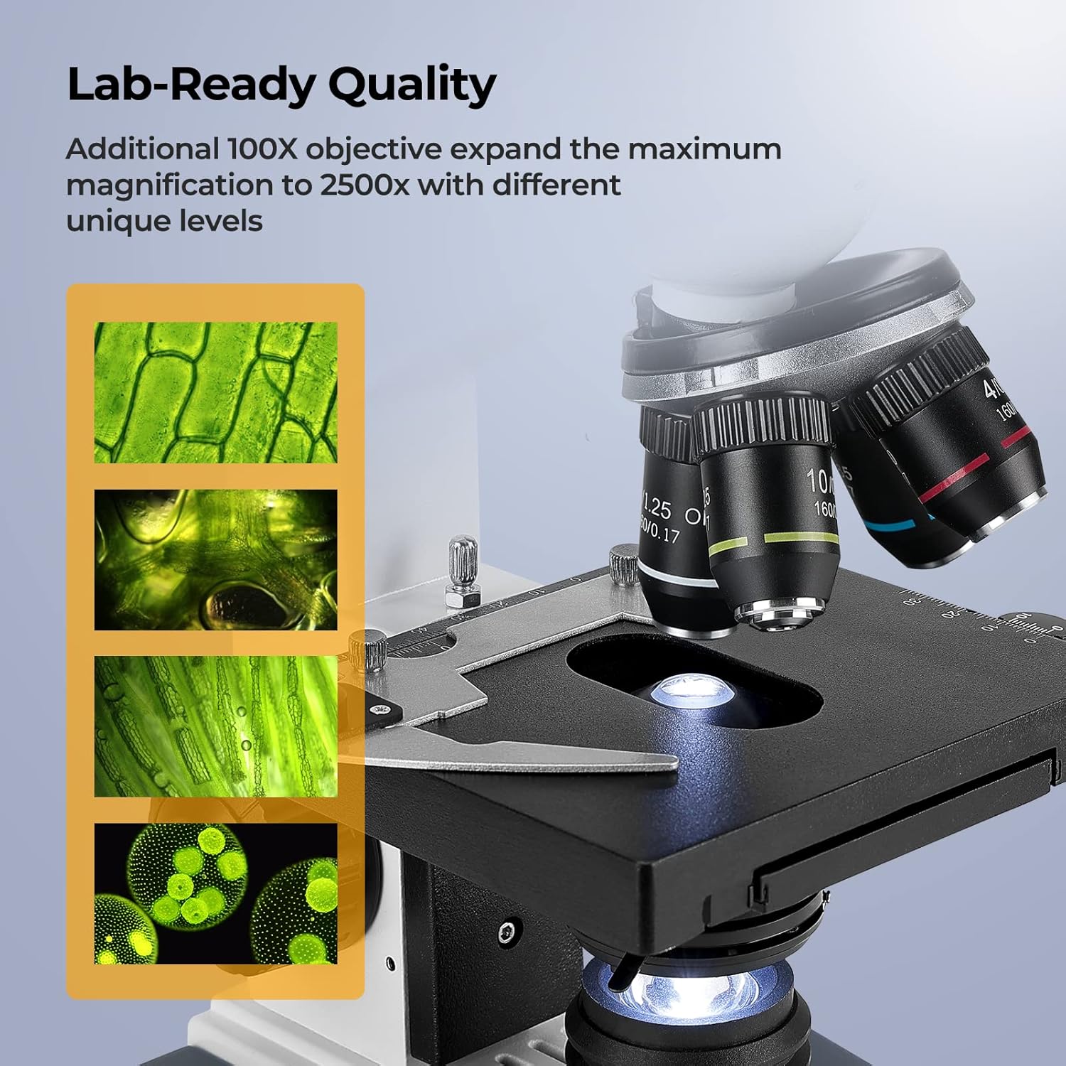 Microscopio Composto Trinocula - Microscope Compound 40X recensione e prezzo